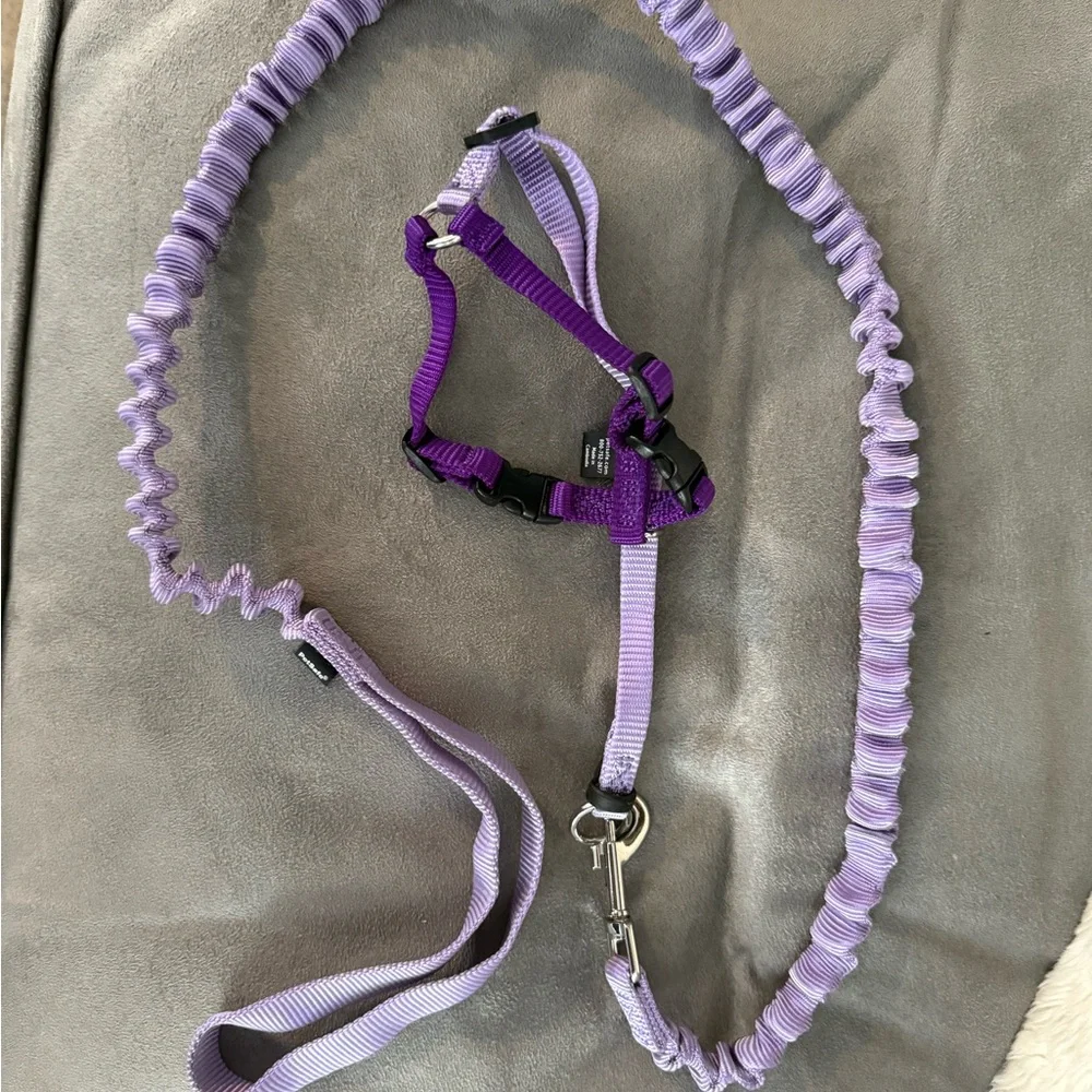PetSafe Lilac Cat Harness and Leash